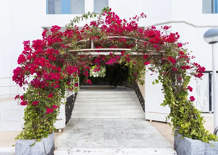 Daire Estudio Alma San Miguel de Abona